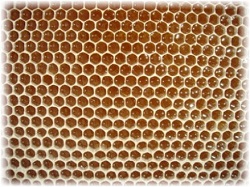 honeycomb image