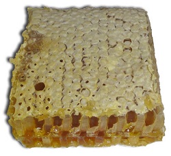 honeycomb image