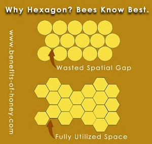 honeycomb pattern image