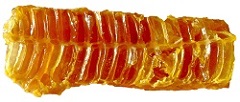 honeycomb image