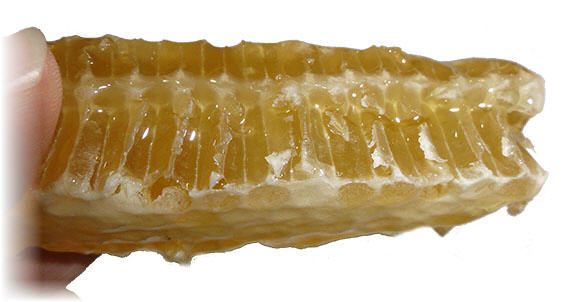 honeycomb image