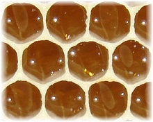 honeycomb cells image