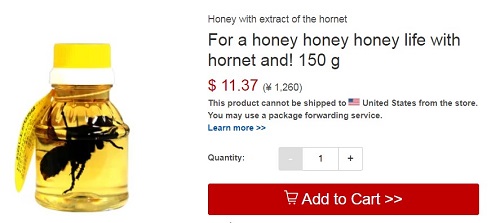 hornet infused honey image