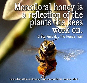 monofloral honey image
