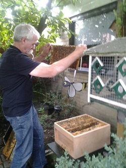 beekeeping in singapore image