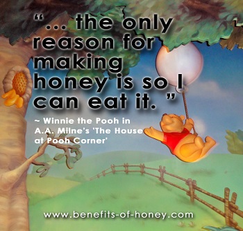 pooh bear loves honey poster image