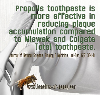 propolis drop picture image