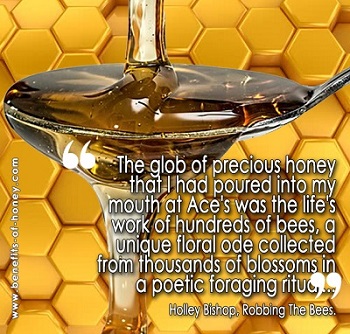 the taste of honey image