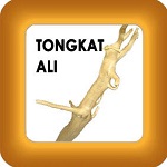 tongkat ali and honey image