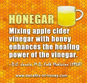 honey cider vinegar honegar drink image