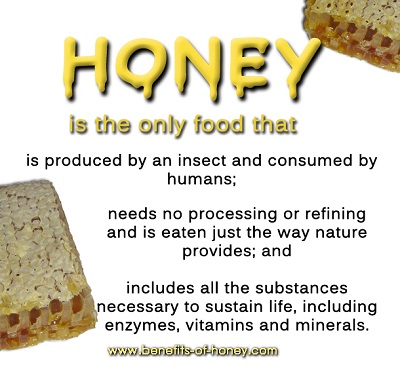 Benifits Of Natural Food Versus Processed Food Benifits Of Natural Food Versus Processed Food