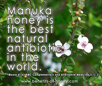 manuka as medicine image