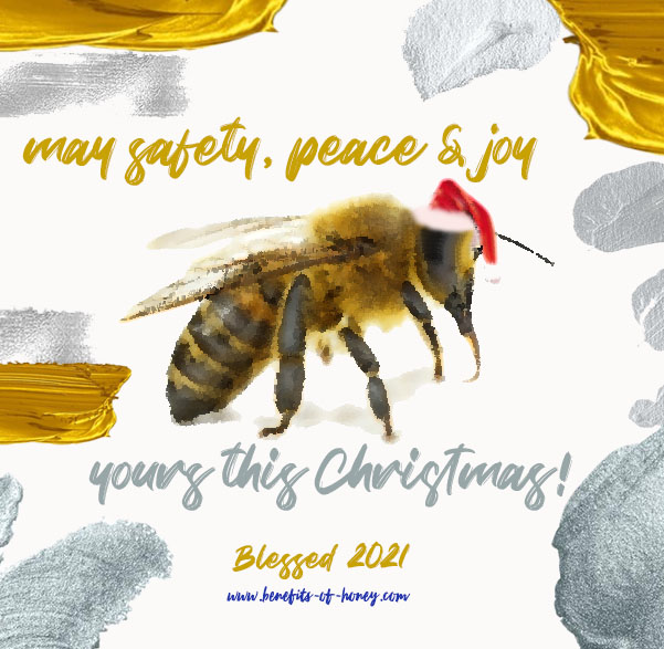 Merry Christmas and Happy New Year 2021 image