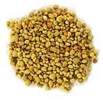 bee pollen graphic