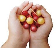 natural fruit graphic