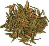 tea leaves graphics
