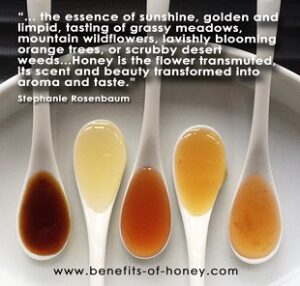 honey varieties poster