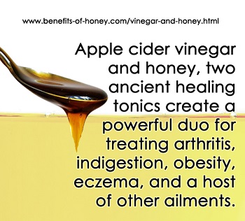 apple cider vinegar and honey poster