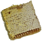 a piece of honeycomb