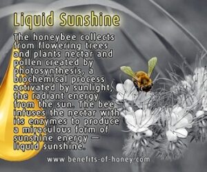 honey is liquid sunshine