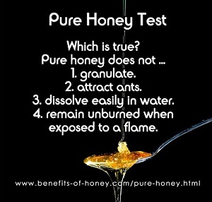 pure honey test poster