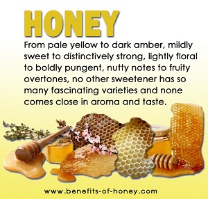 types of honey varietals poster