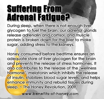 honey diet for adrenal fatigue poster  