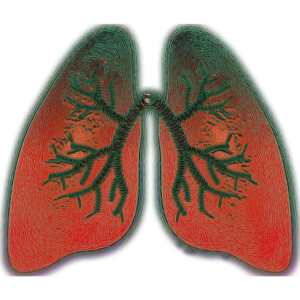 natural asthma treatment
