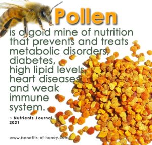 bee pollen is a gold mine of nutrition