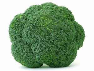 broccoli vegetable 