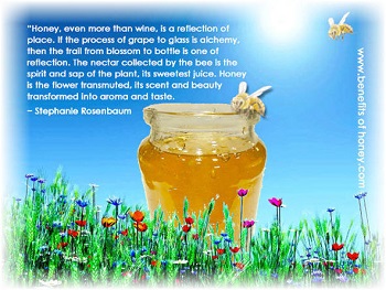 floral varietals of honey image