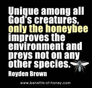 honey bee facts bees are God's unique creatures