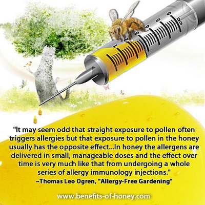 local honey cures seasonal allergy poster image