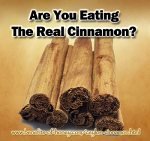 real cinnamon is ceylon cinnamon