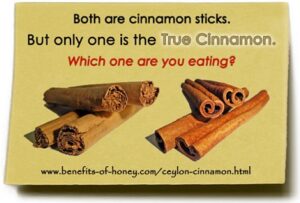 ceylon cinnamon the true cinnamon