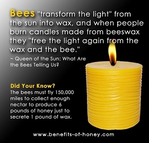 bees and beeswax candles poster image