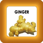 honey cure and ginger button