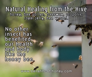 honey bees products poster