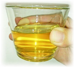 glass of wild honey water image