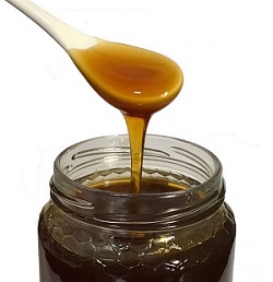 spoon of chestnut honey imagege