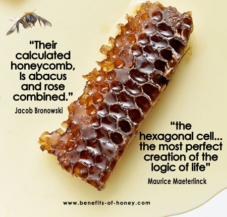 honeycomb pattern poster