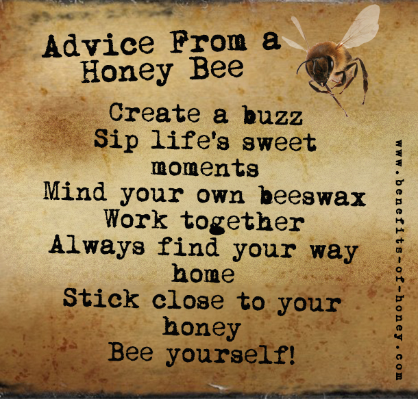 advice from the bee poster