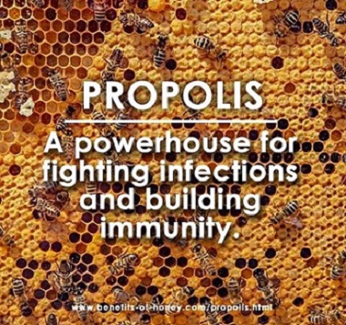 propolis for immunity poster image