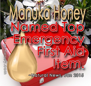 Why manuka honey is exceptional