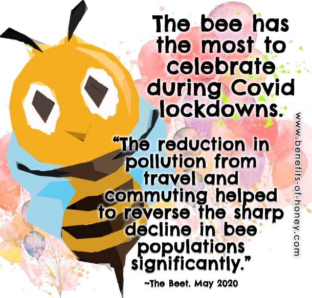 Bees Make A Comeback poster