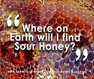sour honey poster