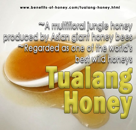 tualang honey poster