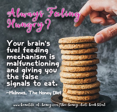 why do you always feel hungry