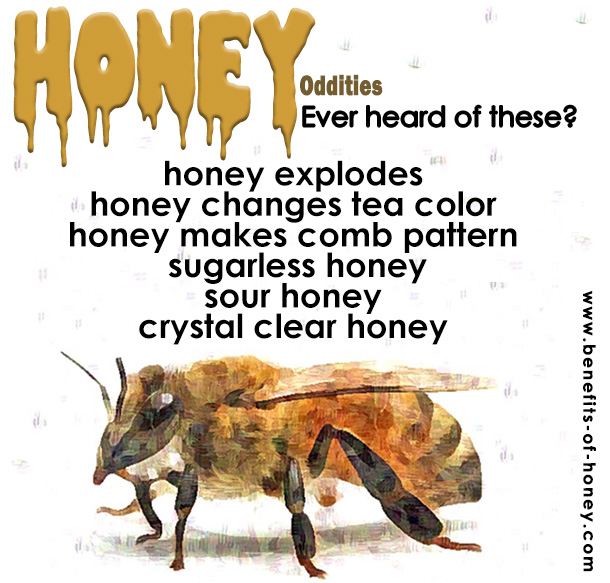 oddities of honey poster