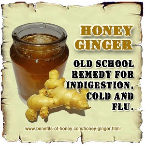 honey ginger poster